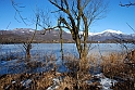 Lago Piccolo di Avigliana ghiacciato_045